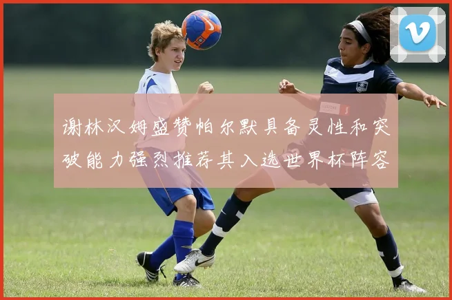 谢林汉姆盛赞帕尔默具备灵性和突破能力强烈推荐其入选世界杯阵容